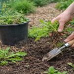 How to Get Rid of Weeds